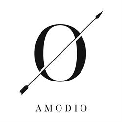 Maison Amodio B&B Brugge, openingstijden