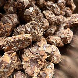 Les Pralines de Chimay, L'Escaillère openingstijden