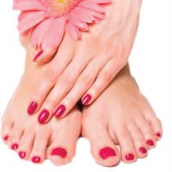 Telmains Telpieds, Houtain-Saint-Siméon openingstijden