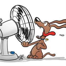 airco voor iedereen, Evergem openingstijden