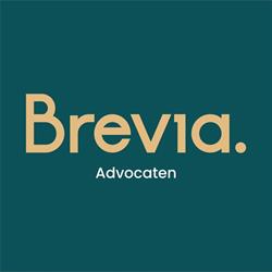 Brevia Advocaten, Brugge openingstijden