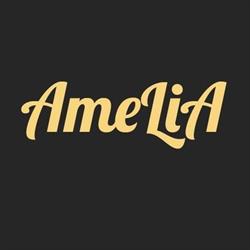 Amelia Lederwaren, Bunsbeek openingstijden