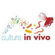 Culture In Vivo, Nijvel openingstijden
