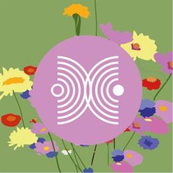 Dressing Circles, Antwerpen openingstijden