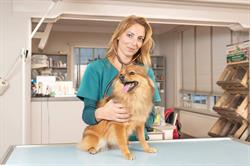 Dierenarts Nora Van Roy, Lille openingstijden