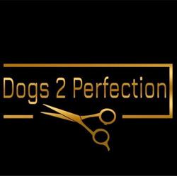 Trimsalon Dogs 2 Perfection, Oudenburg openingstijden