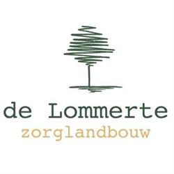 De Lommerte, Veerle openingstijden