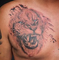 King's & Queens Tattoo Studio, Helchteren openingstijden