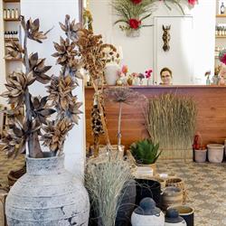 Life is beautiful - Boutique, Brussel openingstijden
