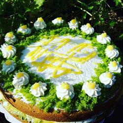 Wonderland Koffie & Thee Café, Bocholt openingstijden