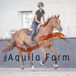 Aquila Farm - Aurélie De Mévius Parelli Professional, Bevekom openingstijden