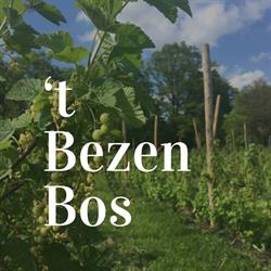 't BezenBos, Drongen openingstijden