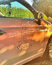 Riposelle, Ternat openingstijden