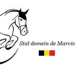 vzw domein de Marvic, Merchtem openingstijden