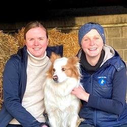 Dierenartsenpraktijk De Wit B.V. Bvba, Hombeek openingstijden