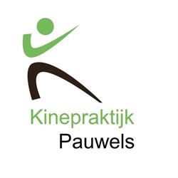 Kinepraktijk Landen Pauwels, openingstijden