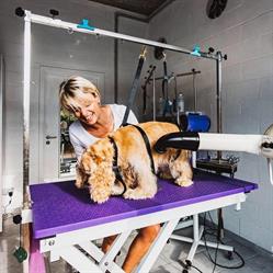 Entre Chien Et Vous, Fléron openingstijden