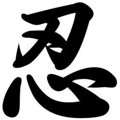 Bujinkan Ry?zoku Dojo Mechelen, openingstijden