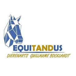 Equitandus - paardentandarts/dierenarts Guillaume Bocklandt, Gavere openingstijden
