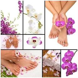 Des Pieds Et Des Mains, Oudergem openingstijden