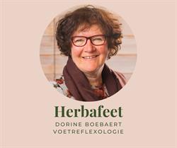 Herbafeet, Gavere openingstijden