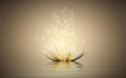 Groepspraktijk Lotus, Tienen openingstijden