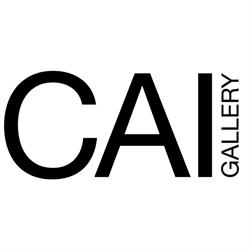 C.A.I. Gallery, Kortrijk openingstijden