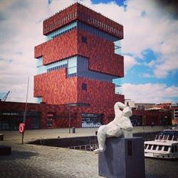De Antwerpse Fluisteraar, openingstijden