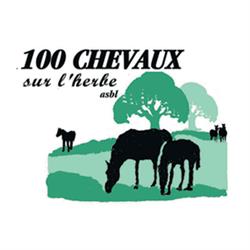 100 CHEVAUX SUR L'HERBE, Couvin openingstijden