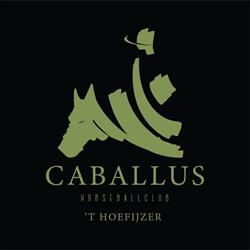 Caballus Horseballclub, Buggenhout openingstijden
