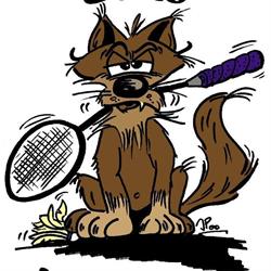 Badminton Club Louvierois ASBL, La Louvière openingstijden
