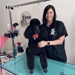 Dogs City Barber, Deurne openingstijden