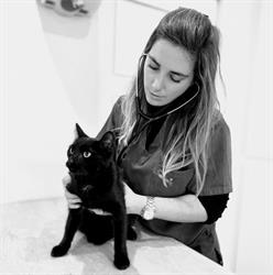 Dierenarts Ilse Kerckhof, Knokke-Heist openingstijden