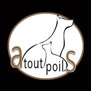 Atout Poils, Waasten openingstijden