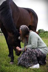 Latfinga - Home of Healing Horses (coaching en natuurtherapie voor mens & dier), Leffinge openingstijden