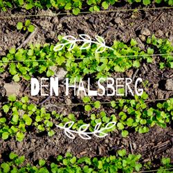 Den Halsberg, Gavere openingstijden