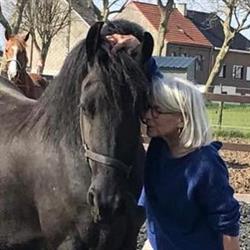 Altra Te, Tielt-Winge openingstijden