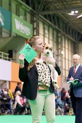 Of Sweet Lilena, Lummen openingstijden
