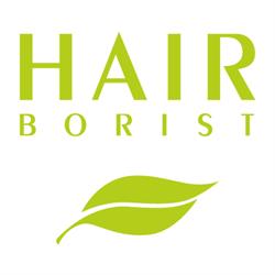 Hairborist, Meulebeke openingstijden