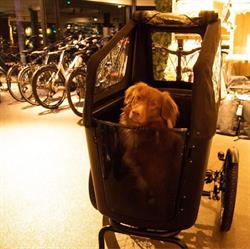 Bolbikes, Zolder openingstijden
