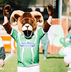 Rugby Club Soignies, openingstijden
