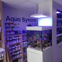 Aqua Syncro, Denderleeuw openingstijden