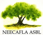 NEECAFLA ASBL, Sint-Gillis openingstijden