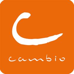 Cambio Brussels (Optimobil Bruxelles - Optimobil Brussel - Optimobi), openingstijden