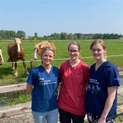 Dierenartsenpraktijk De Hoebeek, Waasmunster openingstijden