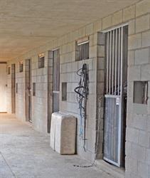 Stal Ten Rozen / accommodatie paarden, Aalst openingstijden