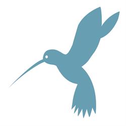 't speelvogeltje, Antwerpen openingstijden