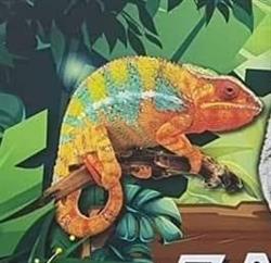 Zanimaux Shop, Moeskroen openingstijden