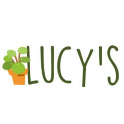 Lucy's Living, Lichtervelde openingstijden