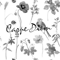 Boutique Carpe Diem tournai, Doornik openingstijden